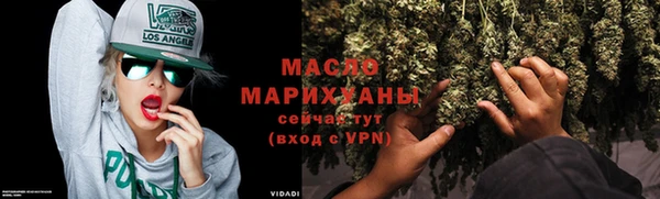 крисы Корсаков