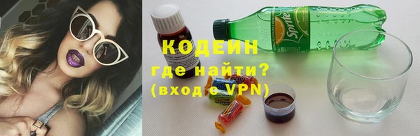 крисы Корсаков