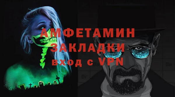 крисы Корсаков