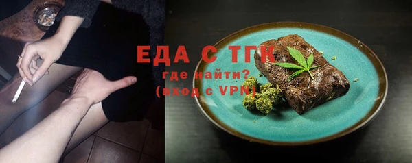 крисы Корсаков