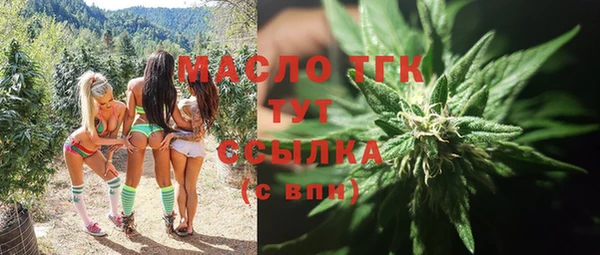 крисы Корсаков