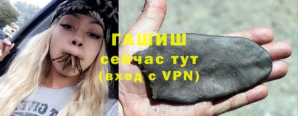 крисы Корсаков
