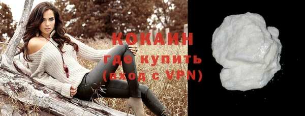 крисы Корсаков