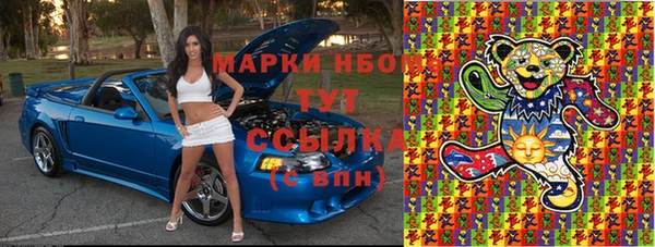 крисы Корсаков