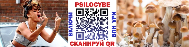 blacksprut ссылки  купить   Козьмодемьянск  Псилоцибиновые грибы Cubensis 