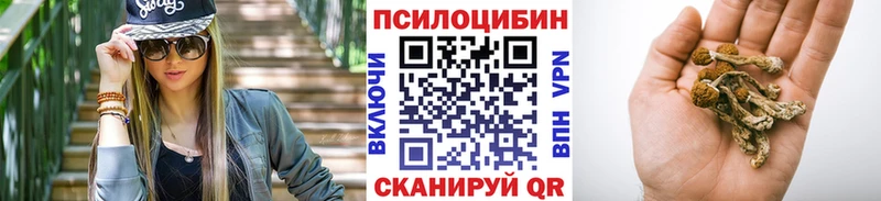 Псилоцибиновые грибы ЛСД Козьмодемьянск